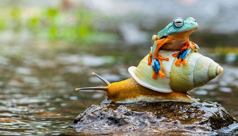 Gặp lúc sa cơ đừng bi lụy, trời sinh ra ta ắt có chỗ để dùng