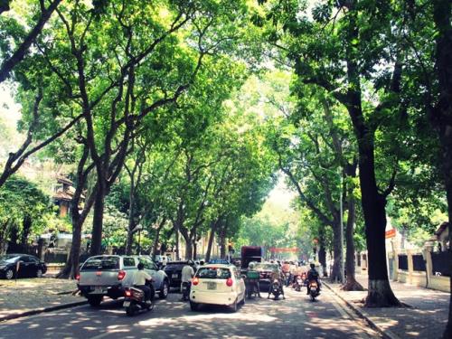 Thời tiết cuối tuần: Ngày có nắng đẹp, đêm có mưa rào và dông