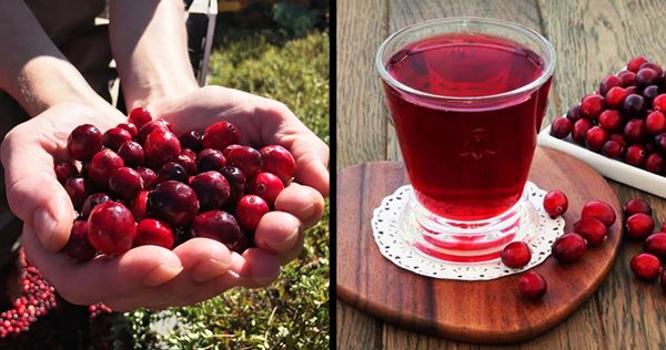 Không cần nhịn ăn hay uống trà giảm cân, 10 loại thực phẩm sau giúp chị em đánh bay mỡ thừa