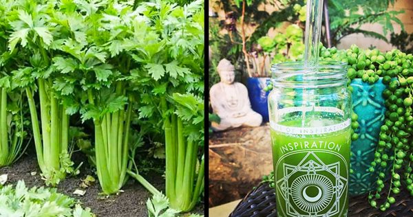 Không cần nhịn ăn hay uống trà giảm cân, 10 loại thực phẩm sau giúp chị em đánh bay mỡ thừa