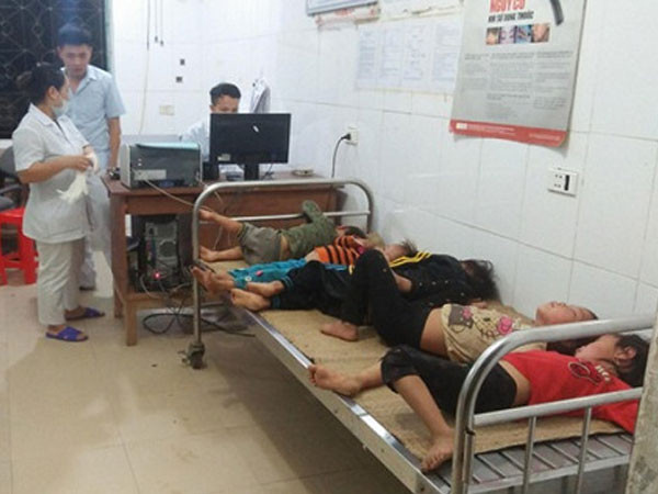 Nghệ An: Bị ong rừng tấn công, 7 người nhập viện