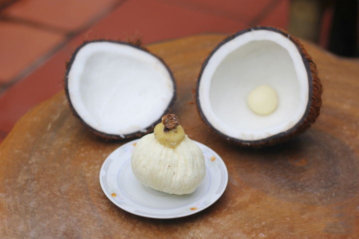 Mộng dừa là gì mà có giá cao gấp 30 lần quả dừa?