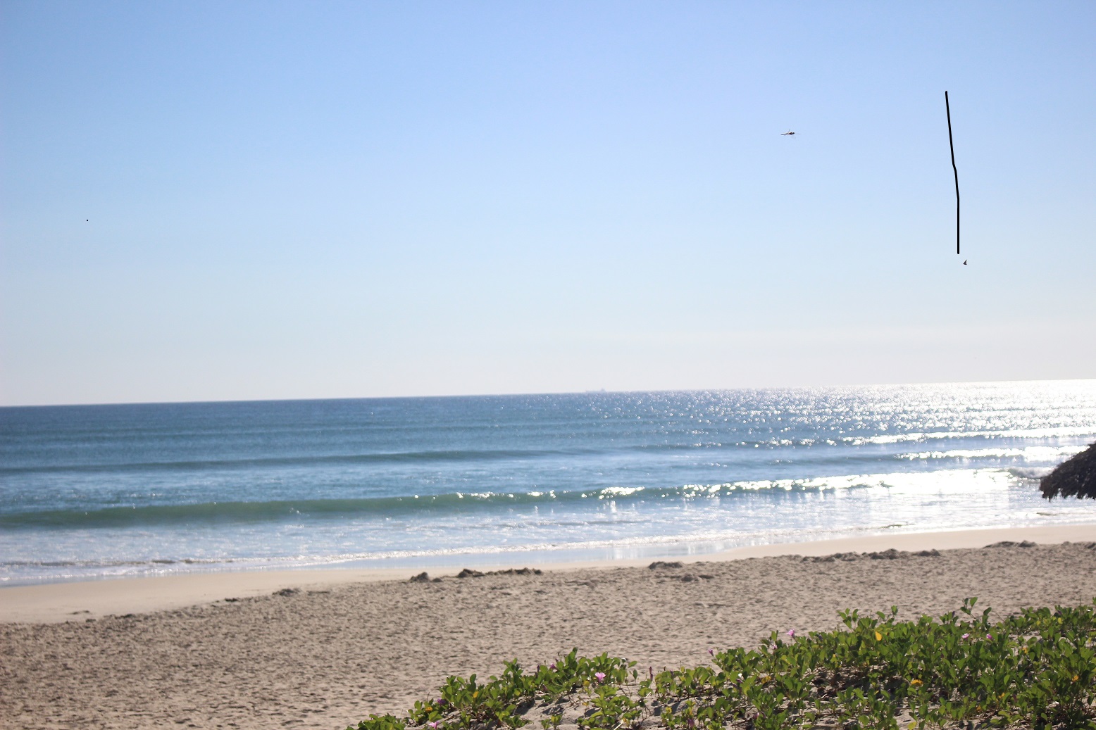 Một người tắm biển nghi đột quỵ tử vong