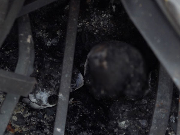 2 nạn nhân chết cháy ở Đê La Thành là bố mẹ bệnh nhi sinh non