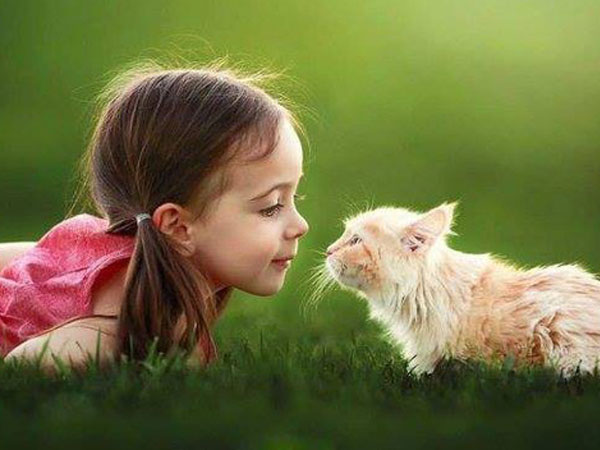 Giun sán trong cơ thể, nhiều người lầm tưởng khối u