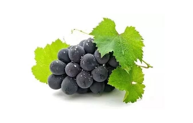 Quả nho thần dược khiến nhiều người bất ngờ