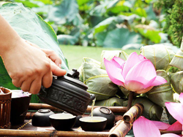 Uống trà sen tươi cần phải biết điều này