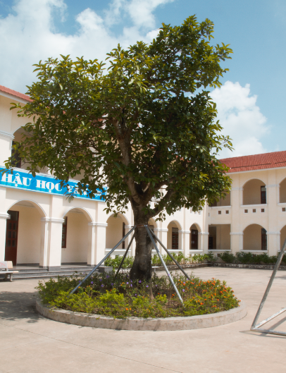 Ngôi trường cấp II nơi Chủ tịch nước Trần Đại Quang từng theo học