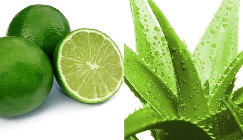 Phục hồi tóc hư tổn với những thực phẩm ngay trong bếp nhà bạn