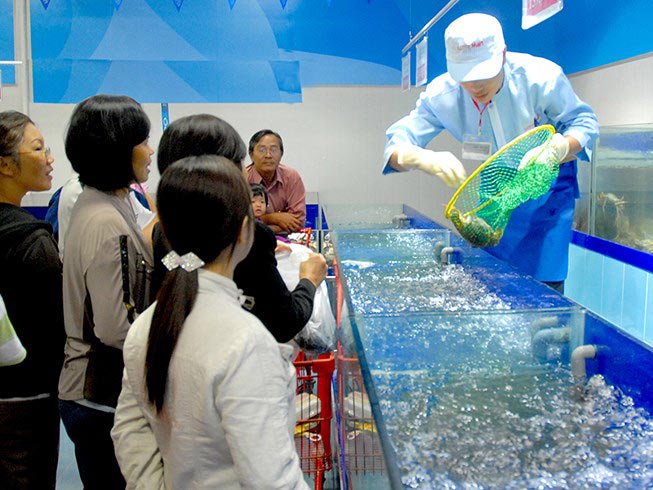 Cua Cà Mau đấu với... cua hoàng đế Mỹ