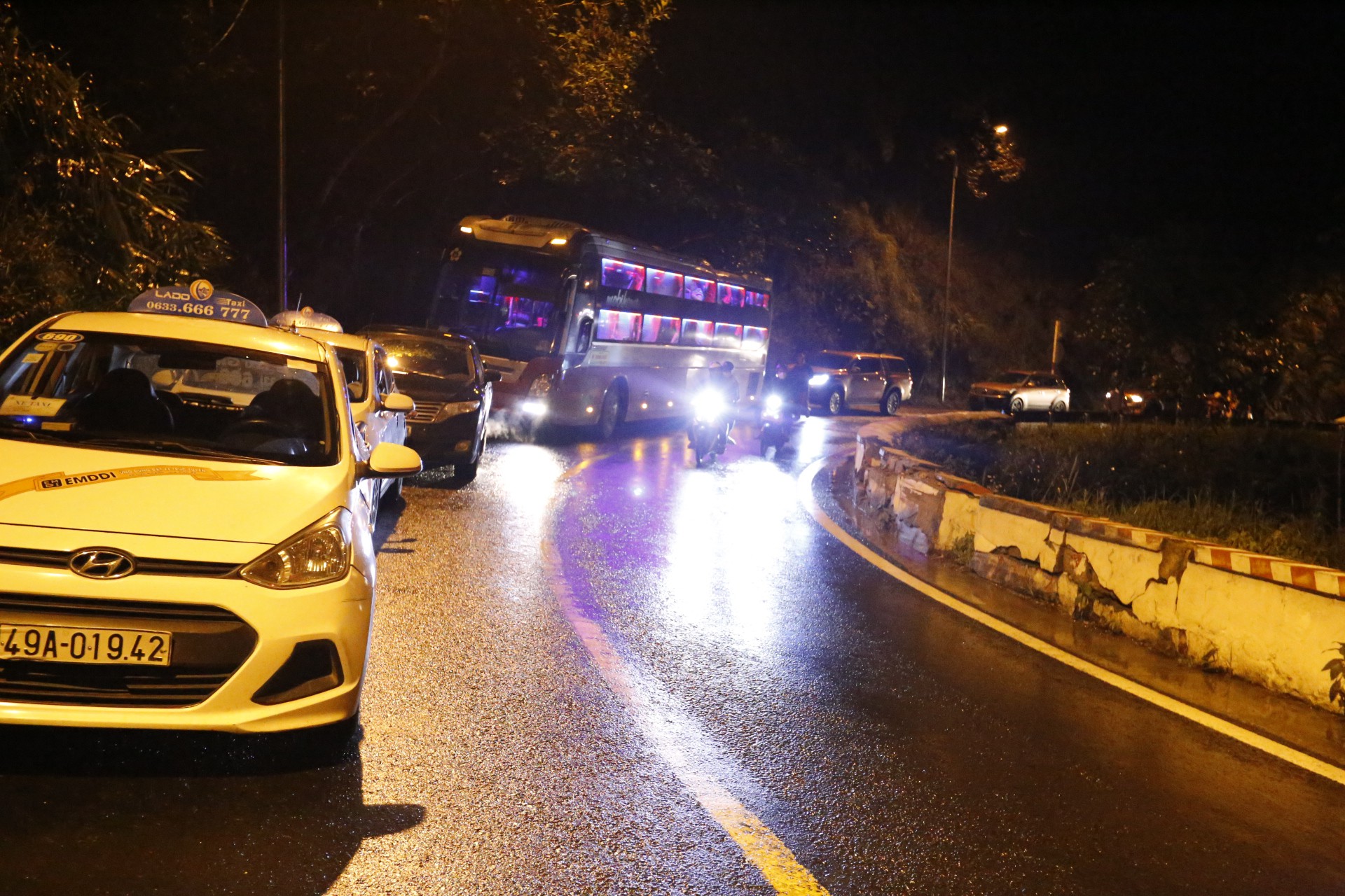 Đà Lạt: Cây thông 20 năm tuổi đổ trên đèo Prenn, giao thông tắc nghẽn hàng giờ liền