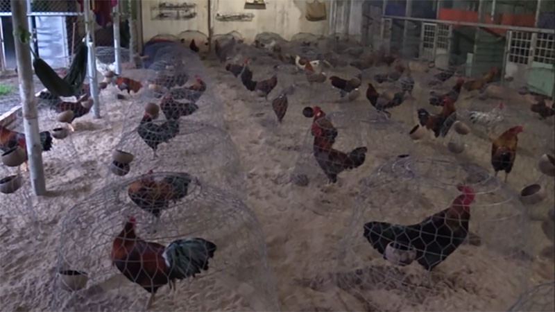 46 người tham gia đánh bạc tiền tỉ trong căn biệt thự ở Bình Dương 46 người tham gia đánh bạc tiền tỉ trong căn biệt thự ở Bình Dương