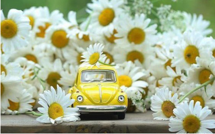 Chủ nhật của bạn (30/9): Cự Giải hãy giảm tốc cho cuộc sống