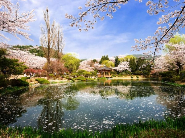 Tử vi cung hoàng đạo ngày 1/9/2018