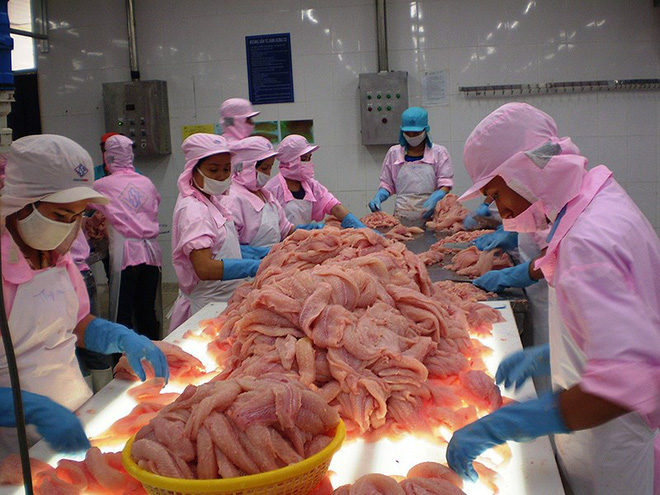 Coi chừng người Việt lại rủ nhau… giải cứu bò Mỹ!