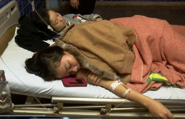 Người phụ nữ bị sốc nhiễm độc sau khi ăn bánh bao thừa cất trong tủ lạnh