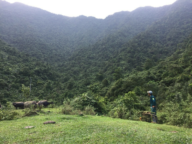 Chùm ảnh băng rừng, lội suối của đội tìm kiếm MIG 21 rơi ở Tam Đảo