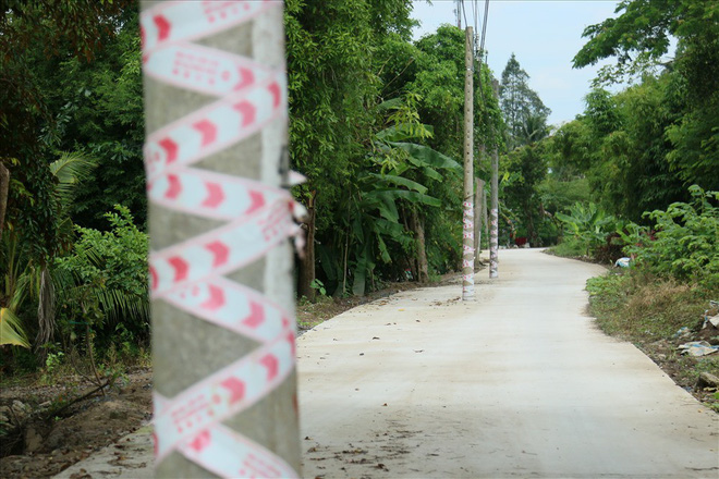 Gần 20 trụ điện được trồng giữa con đường rộng gần 4 mét