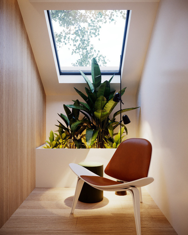 Những căn phòng sáng bừng lên trông thấy chỉ nhờ có cửa sổ