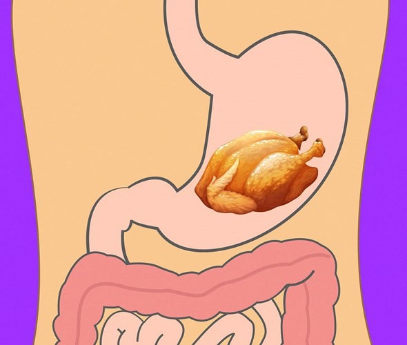 Mất bao lâu để tiêu hóa hết thực phẩm ăn hàng ngày?