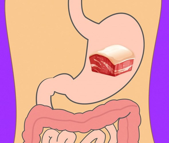 Mất bao lâu để tiêu hóa hết thực phẩm ăn hàng ngày?