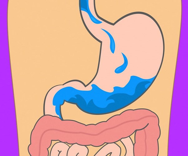 Mất bao lâu để tiêu hóa hết thực phẩm ăn hàng ngày?