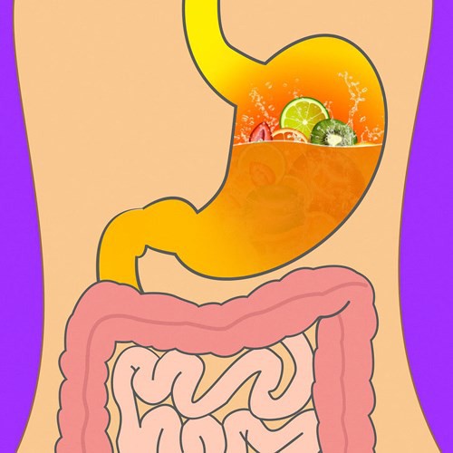 Mất bao lâu để tiêu hóa hết thực phẩm ăn hàng ngày?