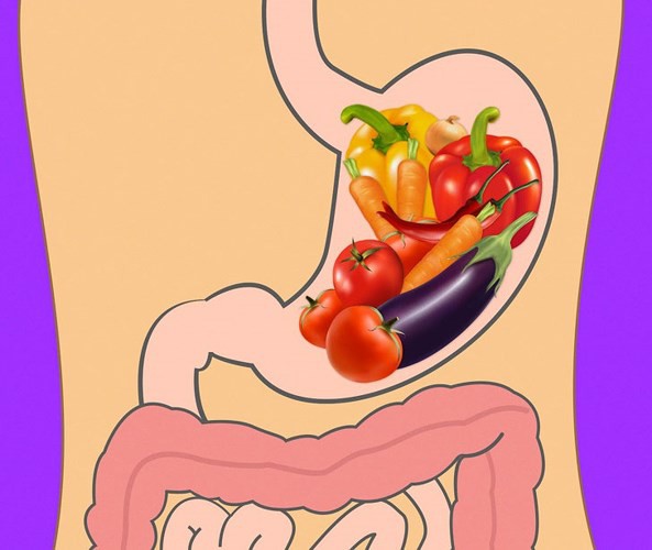 Mất bao lâu để tiêu hóa hết thực phẩm ăn hàng ngày?