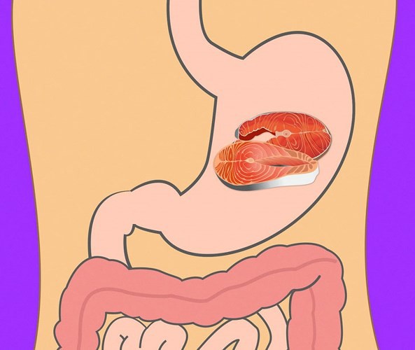 Mất bao lâu để tiêu hóa hết thực phẩm ăn hàng ngày?