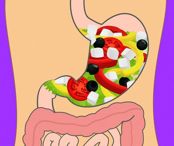 Mất bao lâu để tiêu hóa hết thực phẩm ăn hàng ngày?