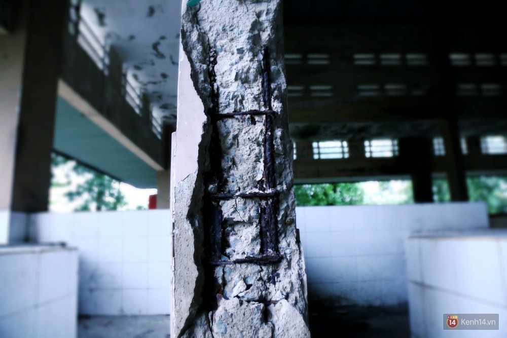 Cảnh u ám bên trong khu chợ tiền tỷ ở Sài Gòn bị bỏ hoang gần 15 năm qua