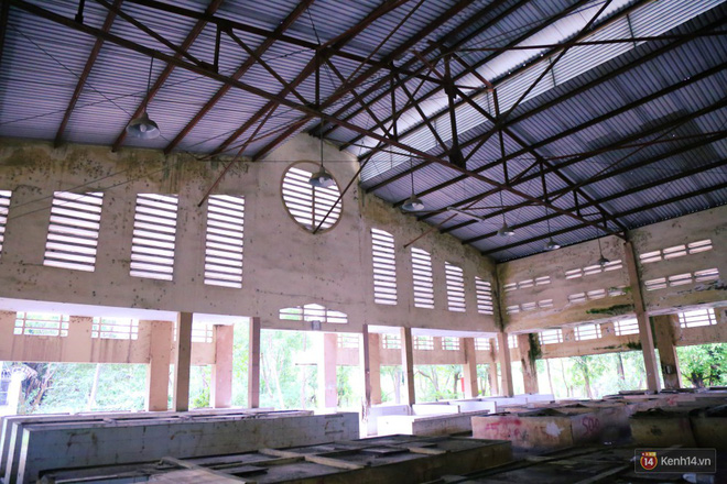 Cảnh u ám bên trong khu chợ tiền tỷ ở Sài Gòn bị bỏ hoang gần 15 năm qua