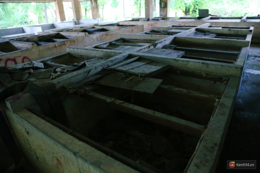 Cảnh u ám bên trong khu chợ tiền tỷ ở Sài Gòn bị bỏ hoang gần 15 năm qua