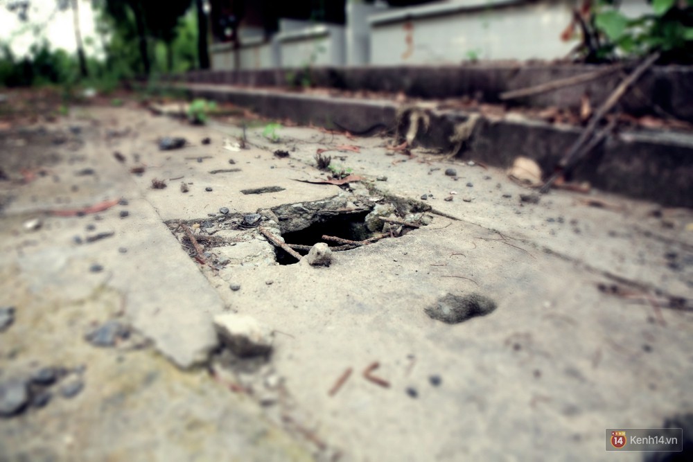 Cảnh u ám bên trong khu chợ tiền tỷ ở Sài Gòn bị bỏ hoang gần 15 năm qua