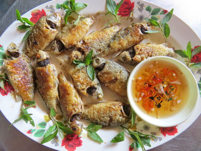 Cá diếc không những ngon, bổ dưỡng mà còn có công dụng chữa những loại bệnh này