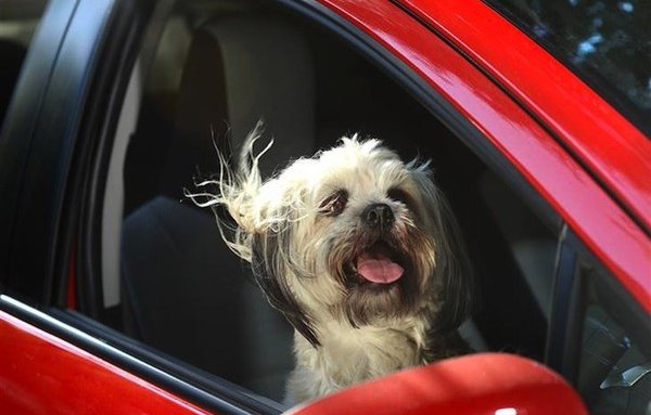 7 hành động sau khi ngồi lên ô tô cần tránh