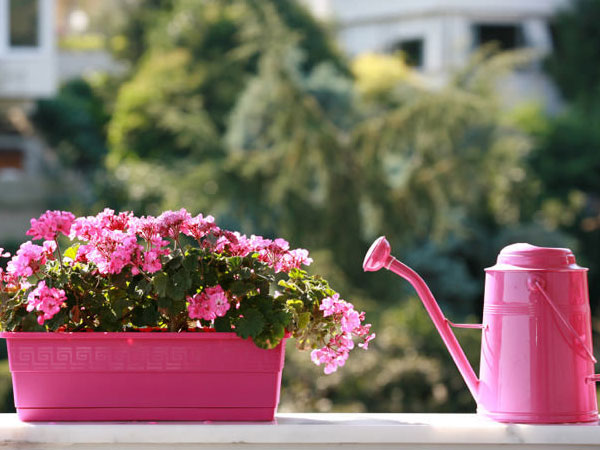 Gặp chồng ở khách sạn, nữ giảng viên hành xử bất ngờ