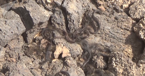 Phiến quân IS vội vàng bỏ vũ khí, cạo râu, tháo chạy khỏi miền nam Syria