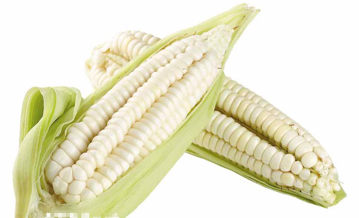 Loại nông sản Nhật có giá trên trời này lại khiến nhà giàu Việt lùng sục tìm mua