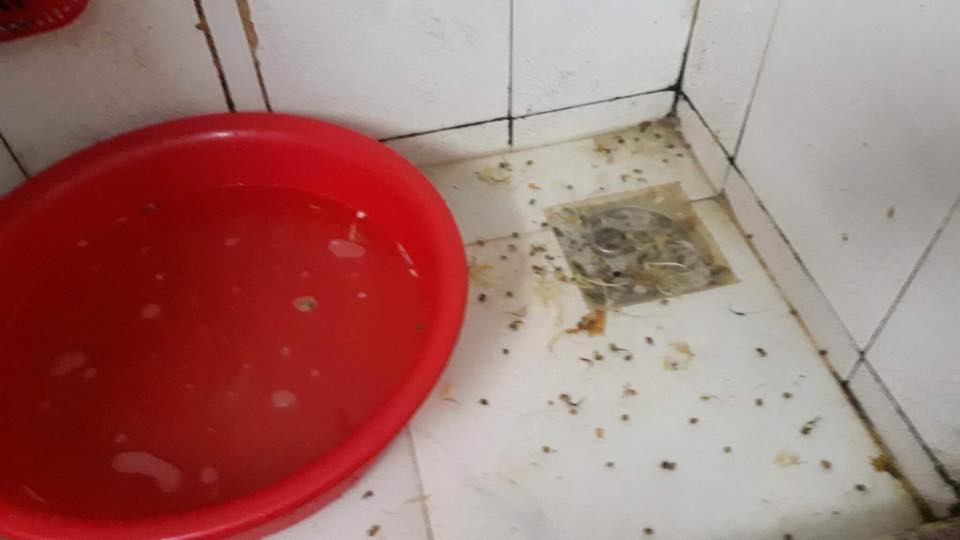 Bạn cùng phòng bóc mẽ cô gái ra ngoài son phấn lồng lộn, về nhà để phòng siêu bẩn, nhà tắm nổi mốc meo ai nhìn cũng hãi