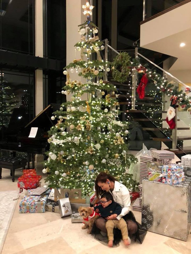 Những bà vợ giàu nứt đố đổ vách của sao, người thuê giúp việc hơn trăm triệu/tháng, người sở hữu cả tòa nhà khủng