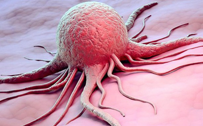 Giáo sư hàng đầu Việt Nam bày cách ăn lành phòng ung thư tốt hơn cả kiềm hóa cơ thể