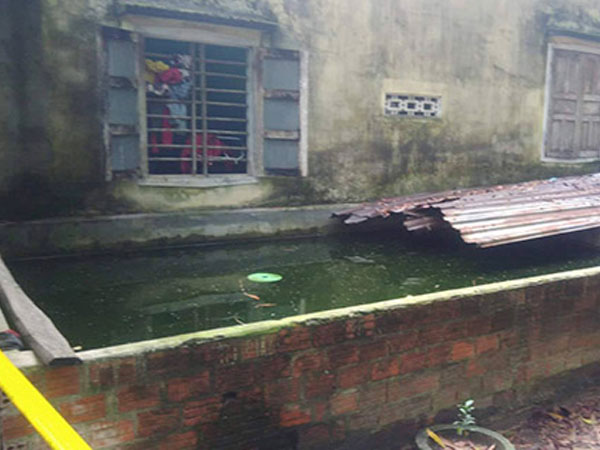 Sau 10 phút ra ngoài, mẹ trở về thấy xác con 4 tháng tuổi trong hồ cá