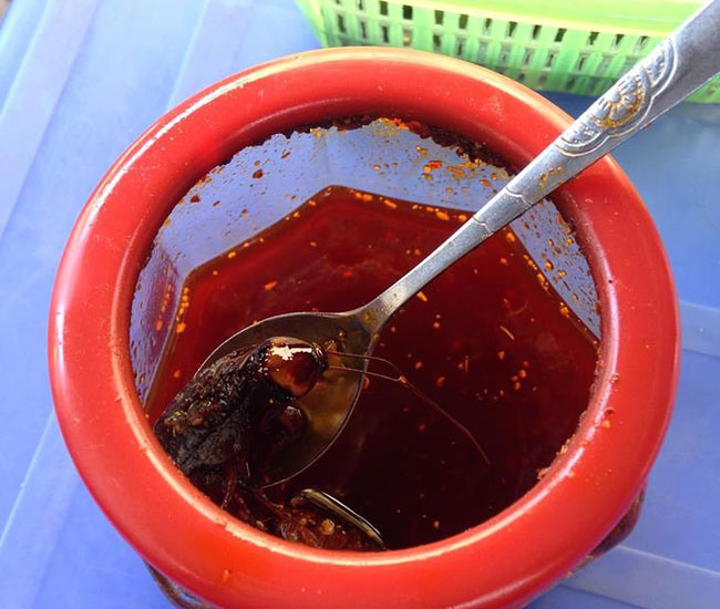 Phát hiện có gián trong lọ ớt mình vừa cho vào bát bánh đa, cô nàng vẫn quyết tâm ăn hết 1/3 mới về khiến dân mạng sốc nặng