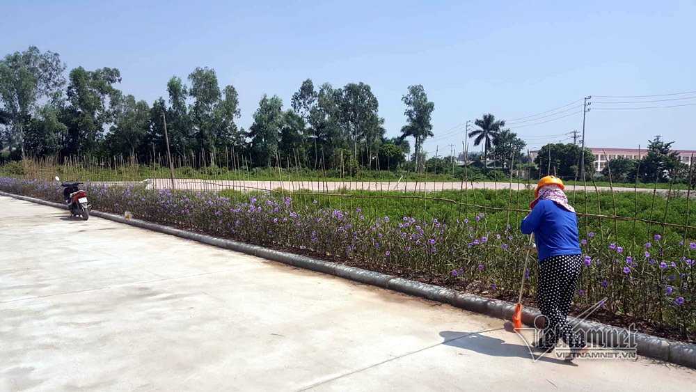 Quê nhà chuẩn bị lễ Quốc tang nguyên Tổng bí thư Đỗ Mười