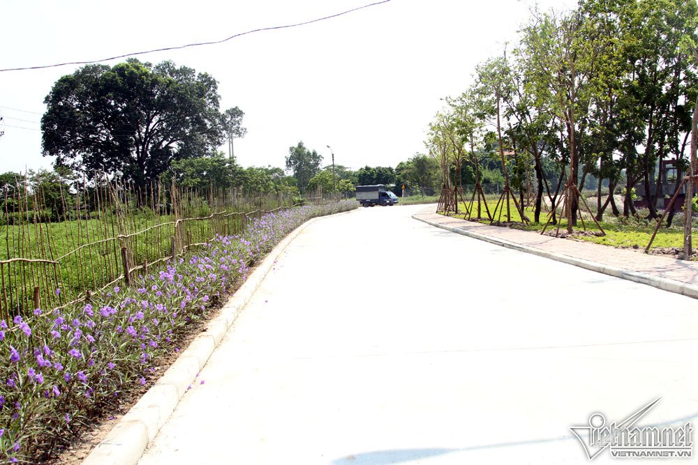 Quê nhà chuẩn bị lễ Quốc tang nguyên Tổng bí thư Đỗ Mười