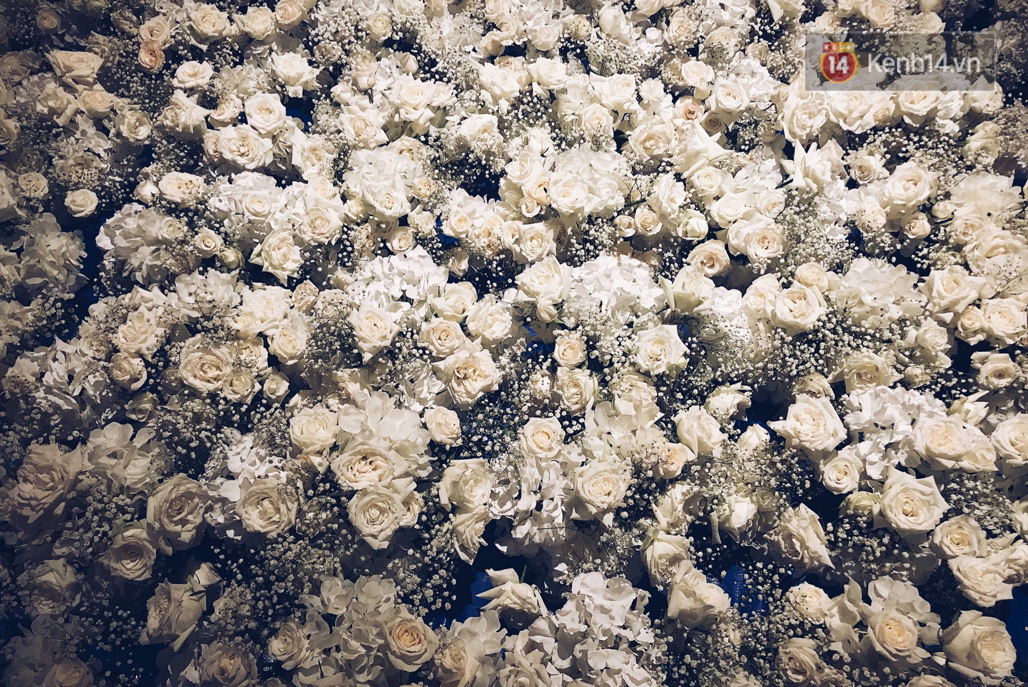 Hé lộ những hình ảnh đầu tiên về không gian tiệc cưới lộng lẫy của Lan Khuê - John Tuấn Nguyễn