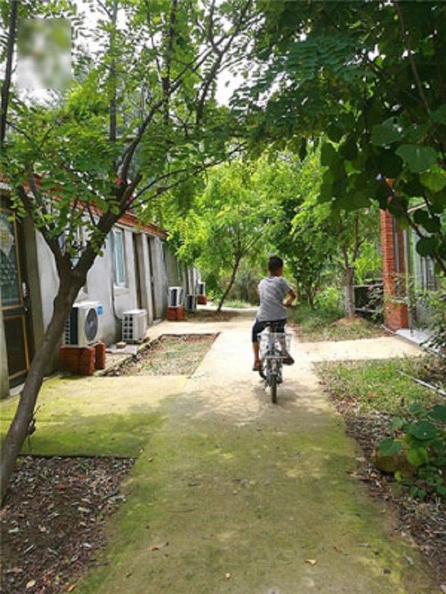 Người cha của năm đây rồi! Con trai bị bệnh cần không khí sạch để thở, bố mua hẳn hòn đảo đưa cả nhà ra sống cho sướng