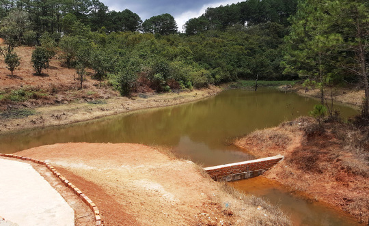 Clip: Xót lòng nhìn thắng cảnh hồ Tuyền Lâm bị băm nát