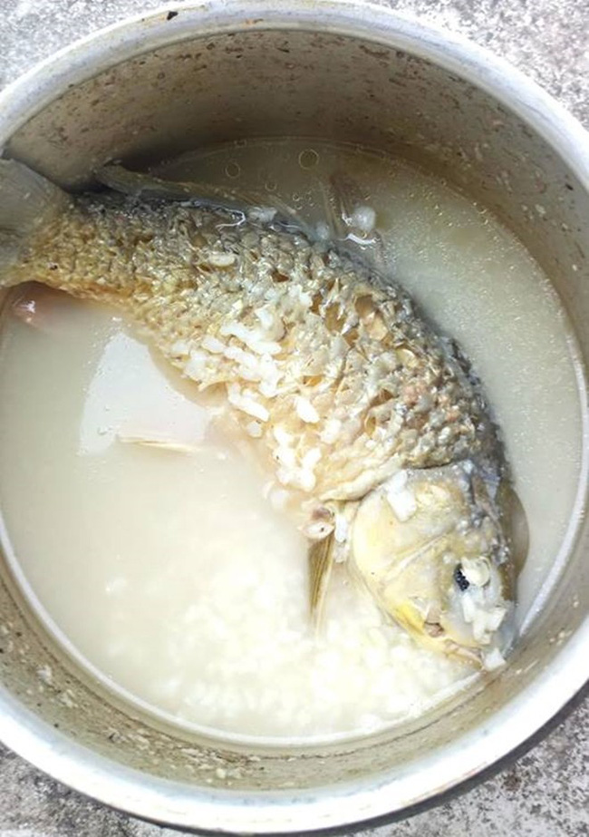 Được mẹ chồng nấu cháo cá chép tẩm bổ khi mang thai, lúc mở vung ra nàng dâu nhận nỗi ám ảnh kinh hoàng